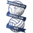 伯明翰logo