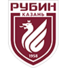 喀山红宝石logo