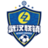 武汉联镇logo