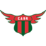 波士顿河logo