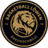 洛文不伦瑞克logo