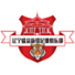 辽宁盛京新锐logo