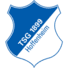 霍芬海姆logo